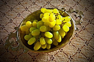 孕期吃dha真的能让宝宝聪明吗